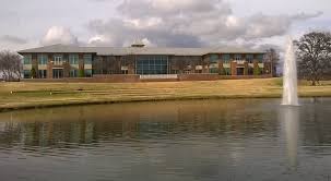 Artificial turf services in Keller, TX